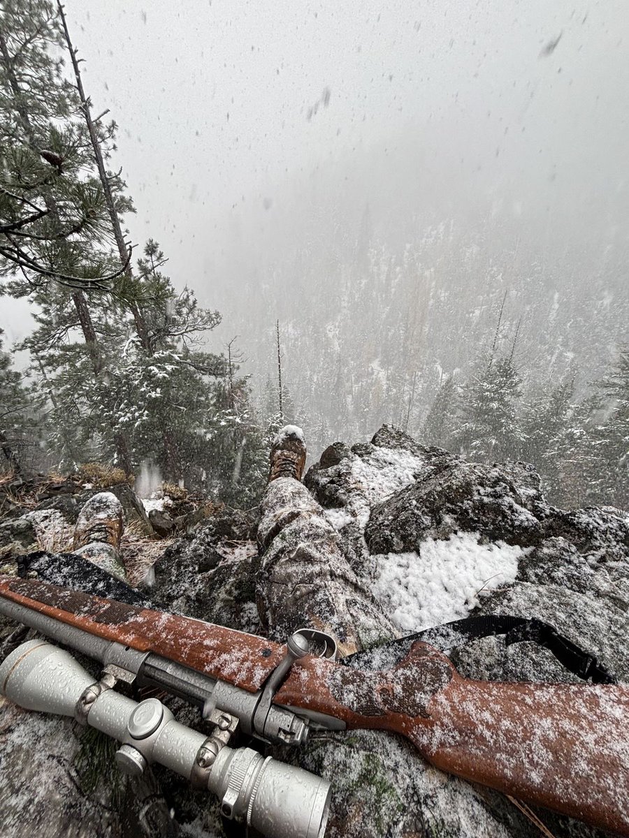 Take Testosterone tweet media