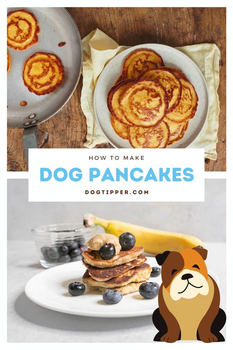 Happy National Pancake Day! To celebrate, here are 2 easy-to-make recipes for pancakes that are specially formulated just for dogs dogtipper.com/pancake-for-do…
