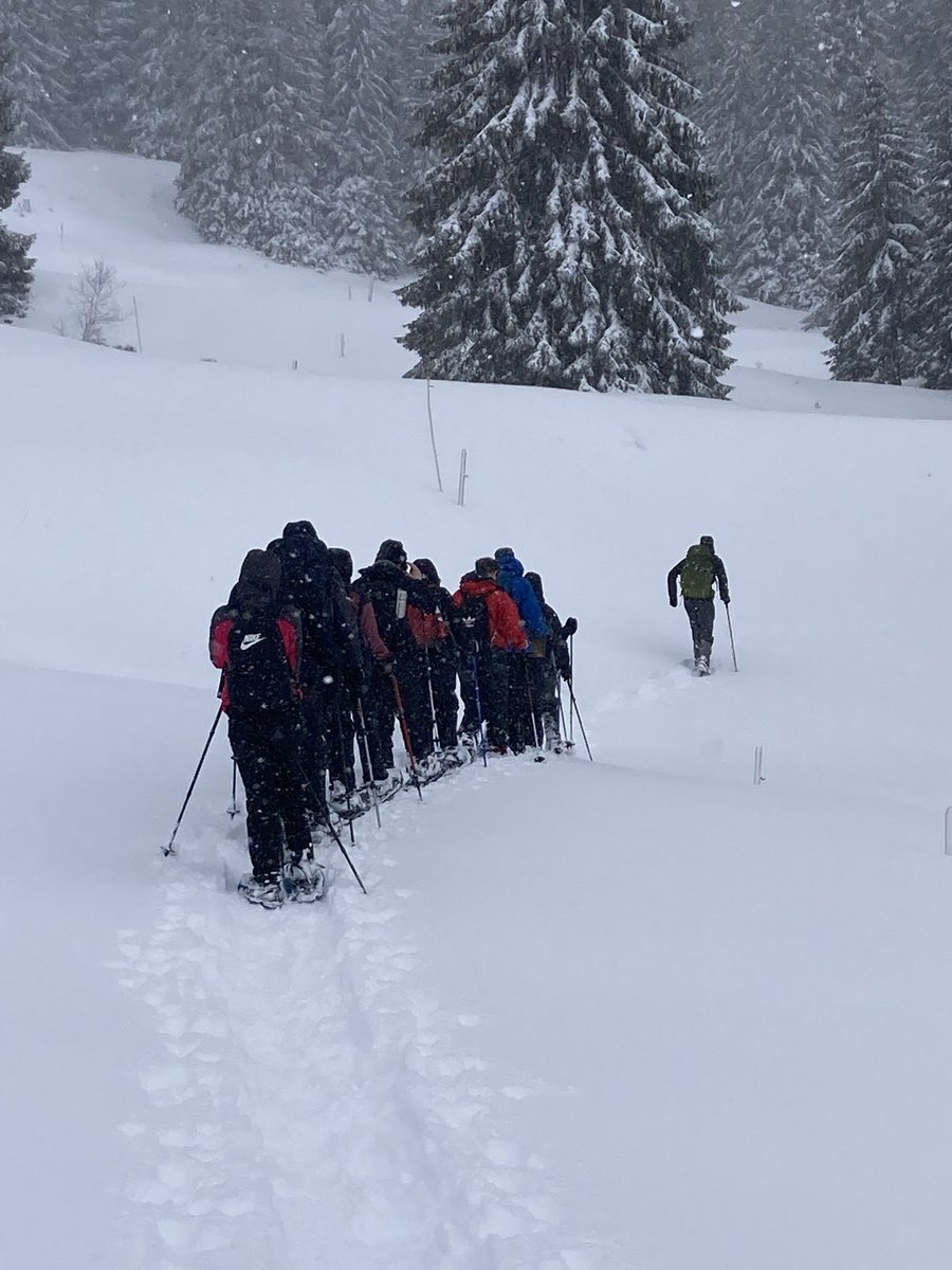 Matravers CCF tweet media