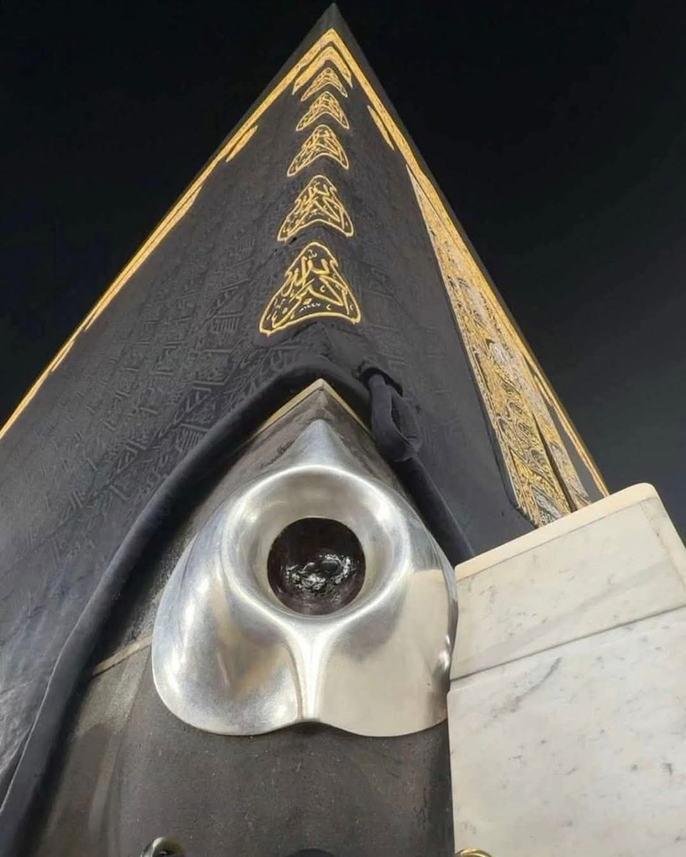 𝐌𝐨𝐭𝐢𝐯𝐚𝐭𝐞𝐝 𝐌𝐚𝐟𝐢𝐚 (@_motivatedmafia) on Twitter photo 