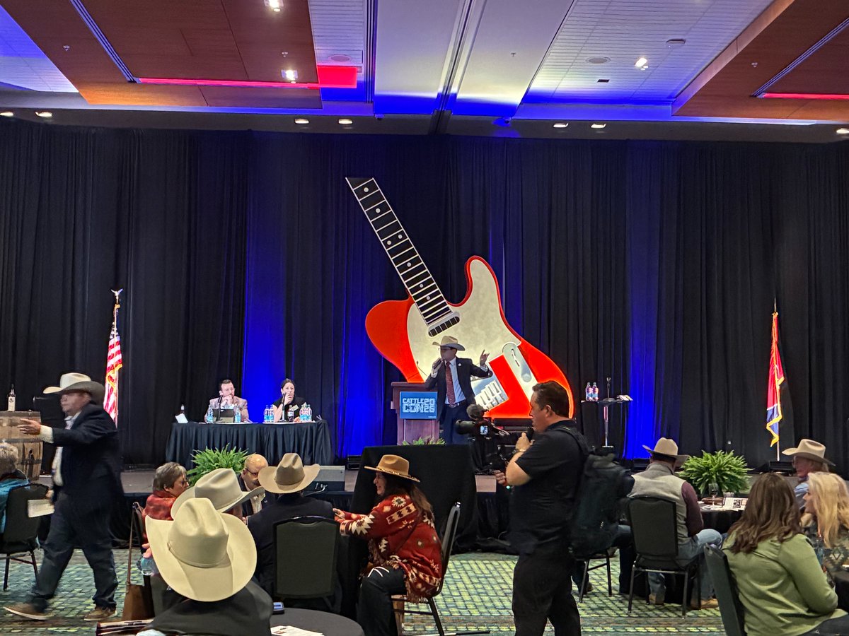 Catalyst Ventures Consulting tweet media