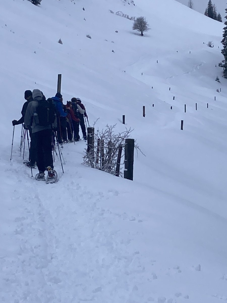 Matravers CCF tweet media