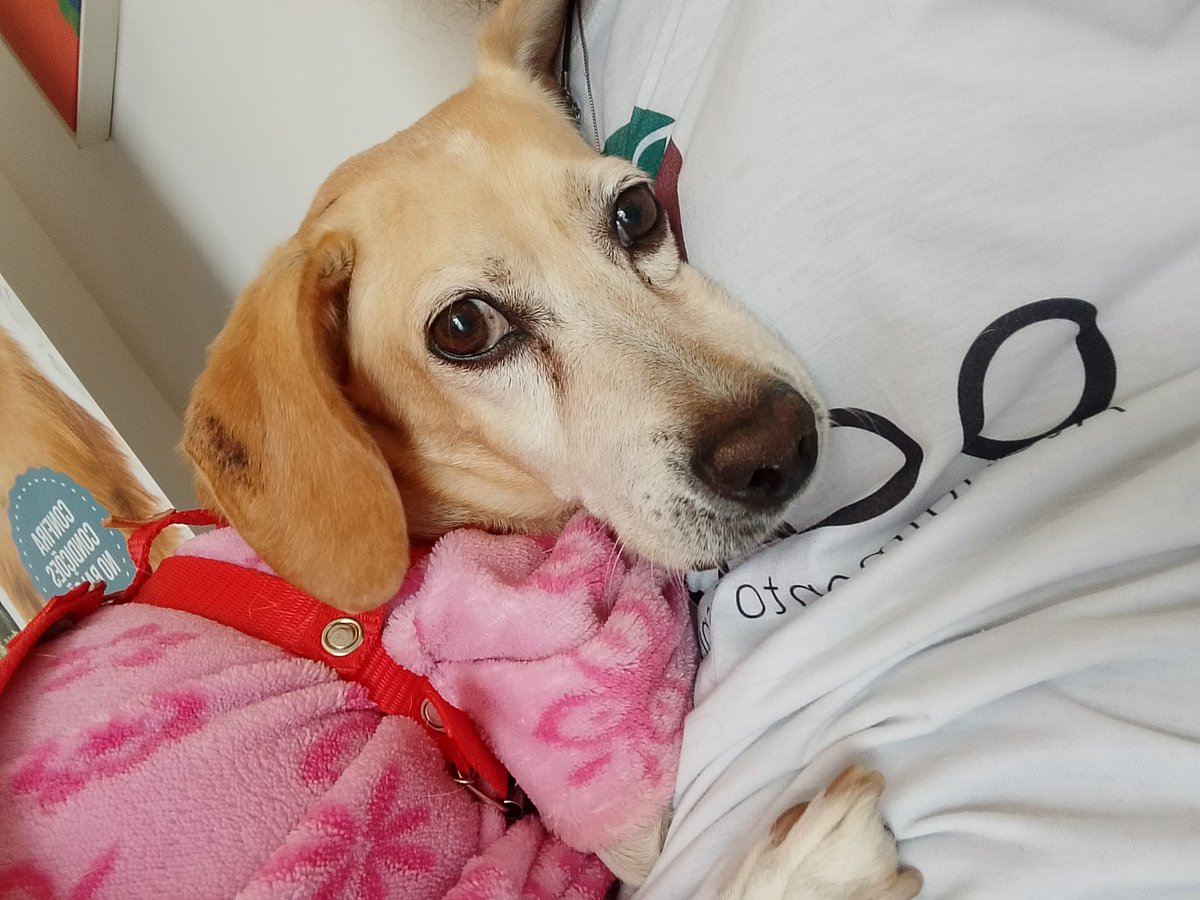 Jessica, sem acento.⚓ tweet media