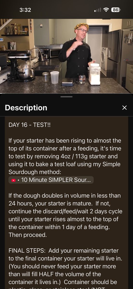 Tamara 🐊🌻 tweet media