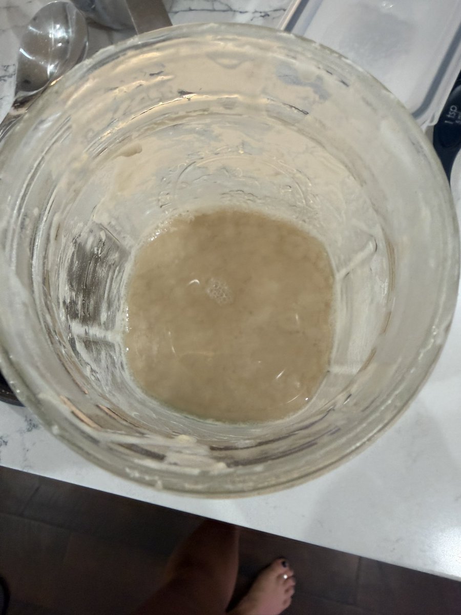 Tamara 🐊🌻 tweet media