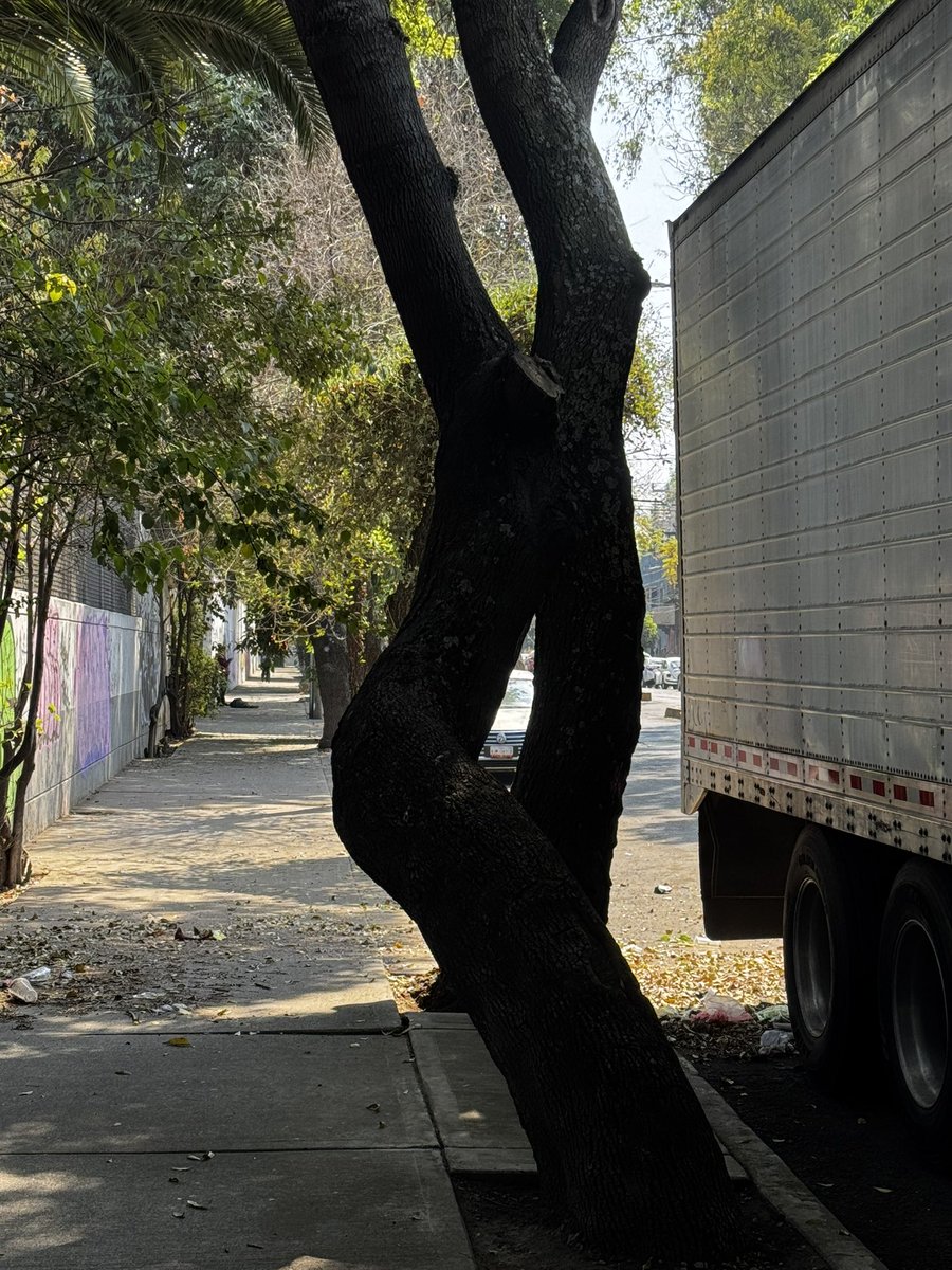 Mabraham78's tweet photo. @SSC_CDMX @A_VCarranza @c4jimenez 
En la calle aconchi entre av del taller y mocorito hay un MG gris de la CFE y solo está dando vueltas al rededor de una casa donde entró un señorita de como 17años y el viejito éste se le quedó viendo y ahora está ahí parado lleva chaleco 🦺👷🏻‍♂️ https://t.co/URvLFLe3uR