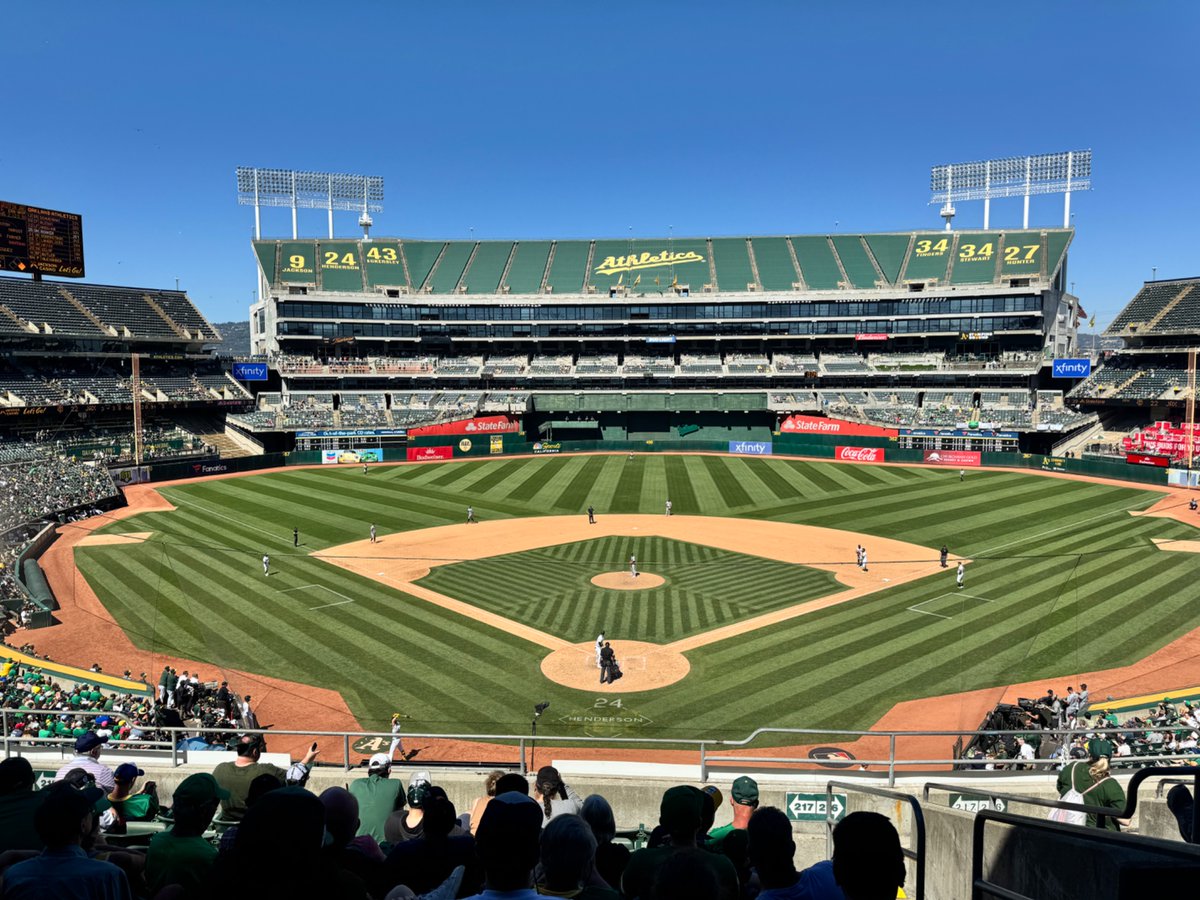 commissioner shayla, smiling politely tweet media