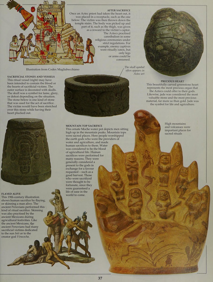 Tomb Raider Texture tweet media