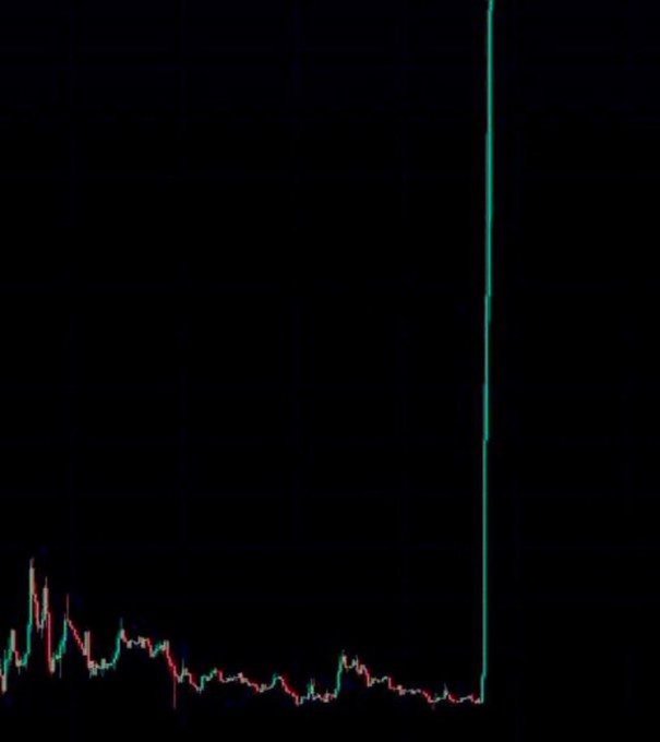 Pepe Compass 🧭 tweet media