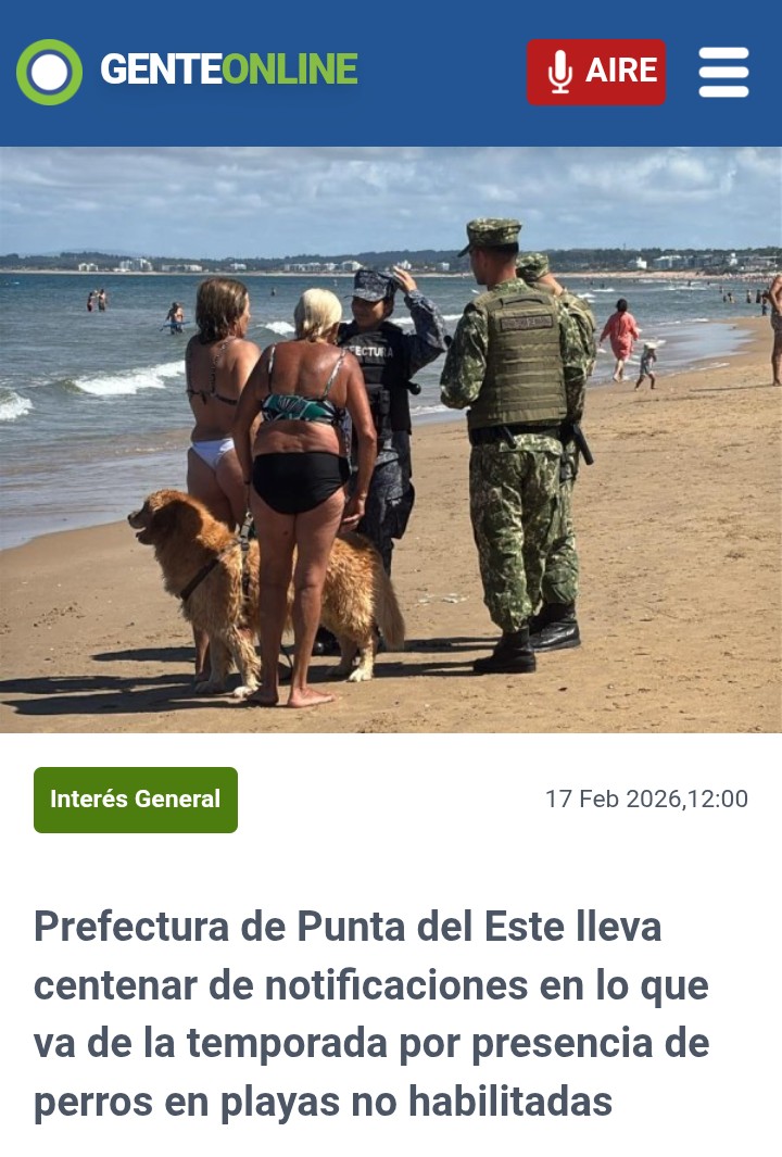 No es solo en Punta del Este, es en toda la costa uruguaya el desprecio por las normas. Se debería pagar una fuerte multa o trabajo comunitario, pero no estamos preparados para ésta discusión.