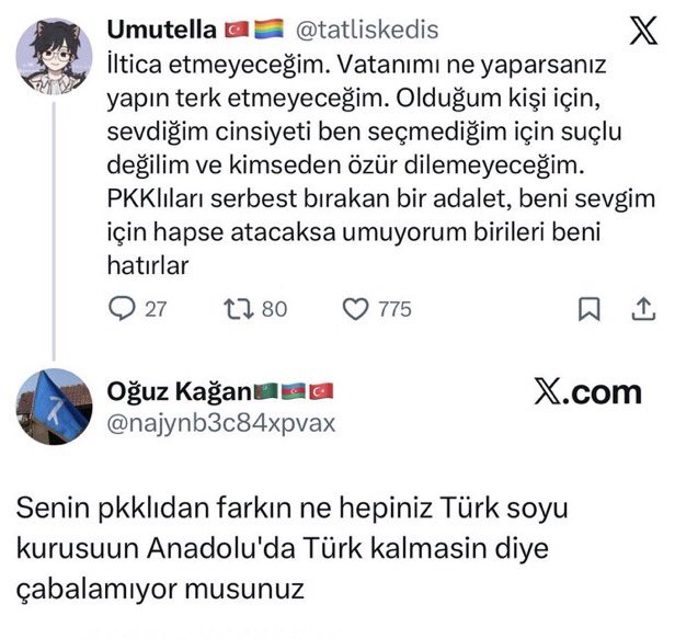 öylesine tweet media