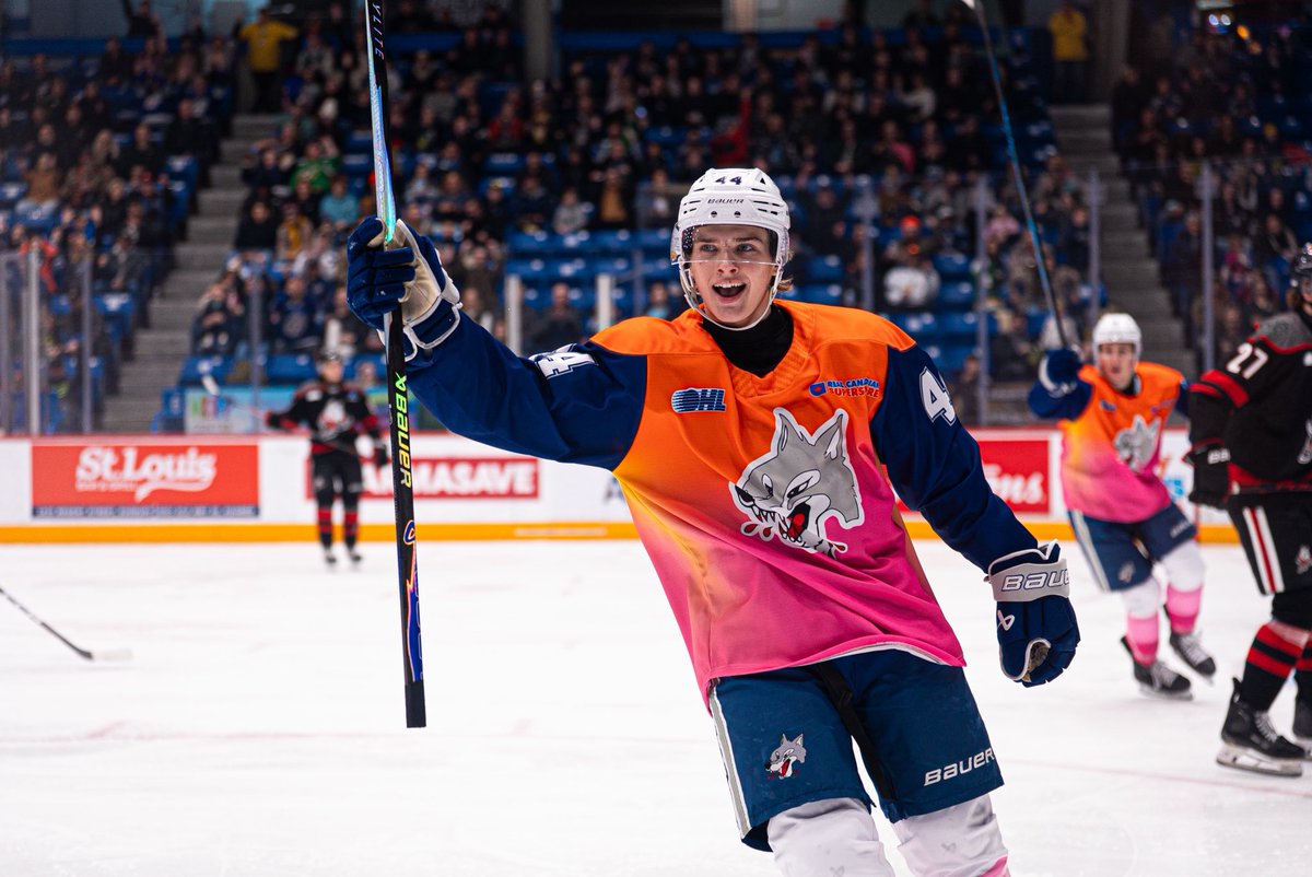 Sudbury Wolves tweet media