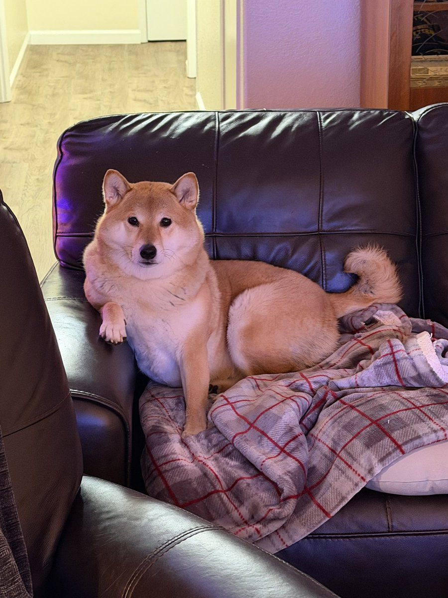 DeadByDawn101 tweet media