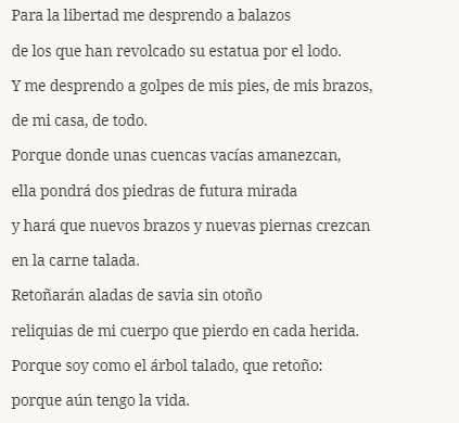 juaky78's tweet image. Los versos de Miguel Hernández que José Luis Martínez Almeida, alcalde de Madrid, mandó borrar durante su mandato actual del cementerio de la Almudena.

Justicia, memoria y reparación.