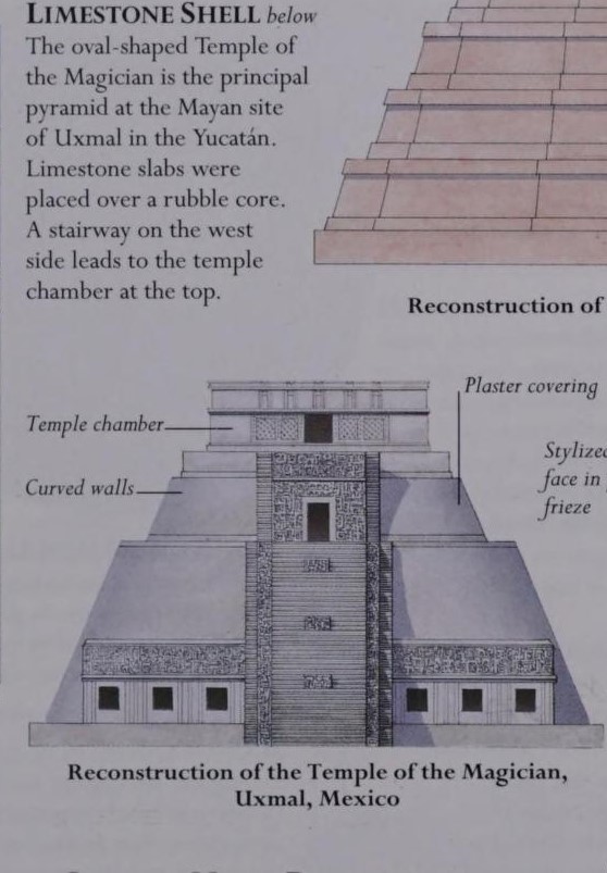 Tomb Raider Texture tweet media