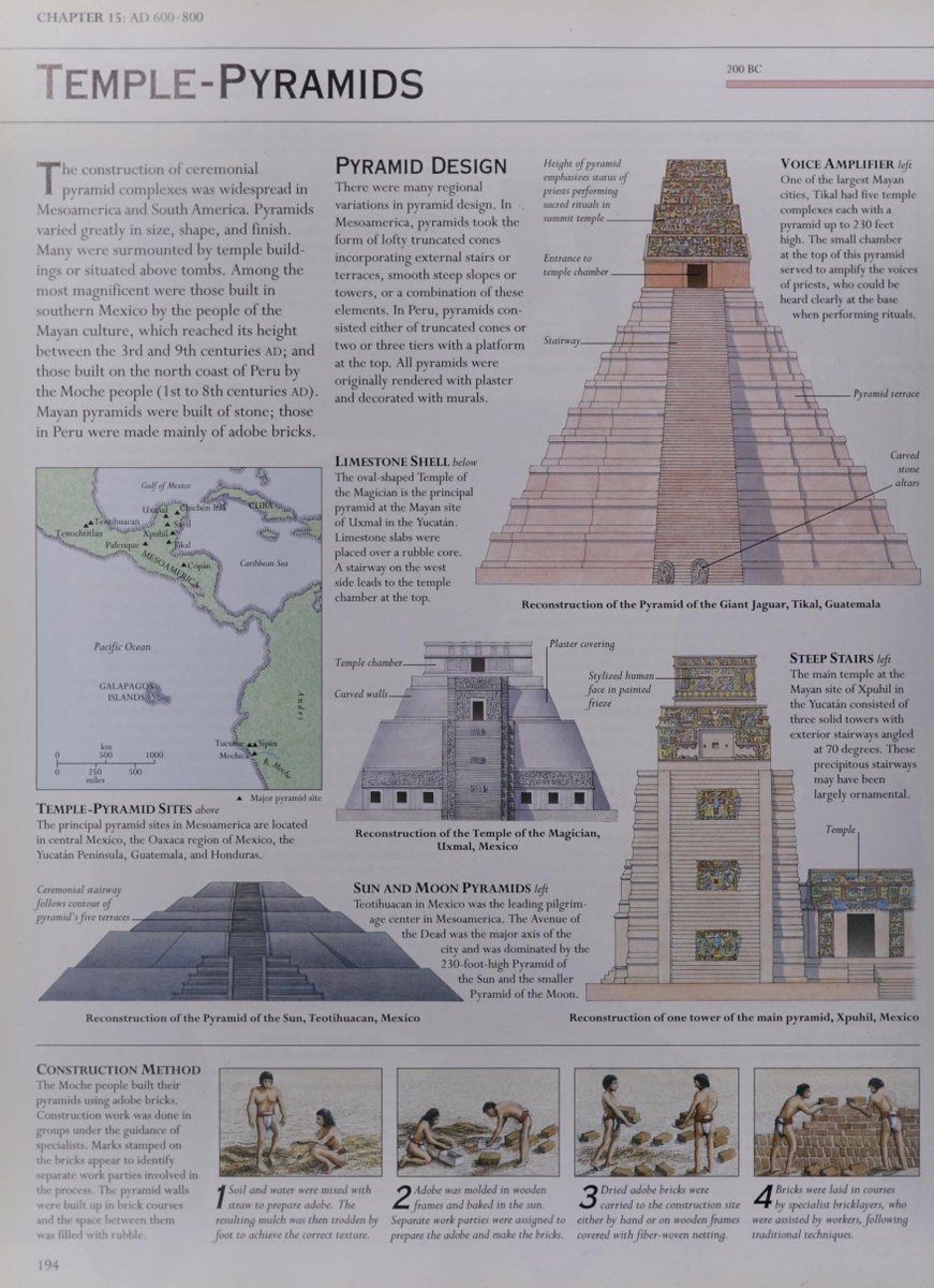 Tomb Raider Texture tweet media