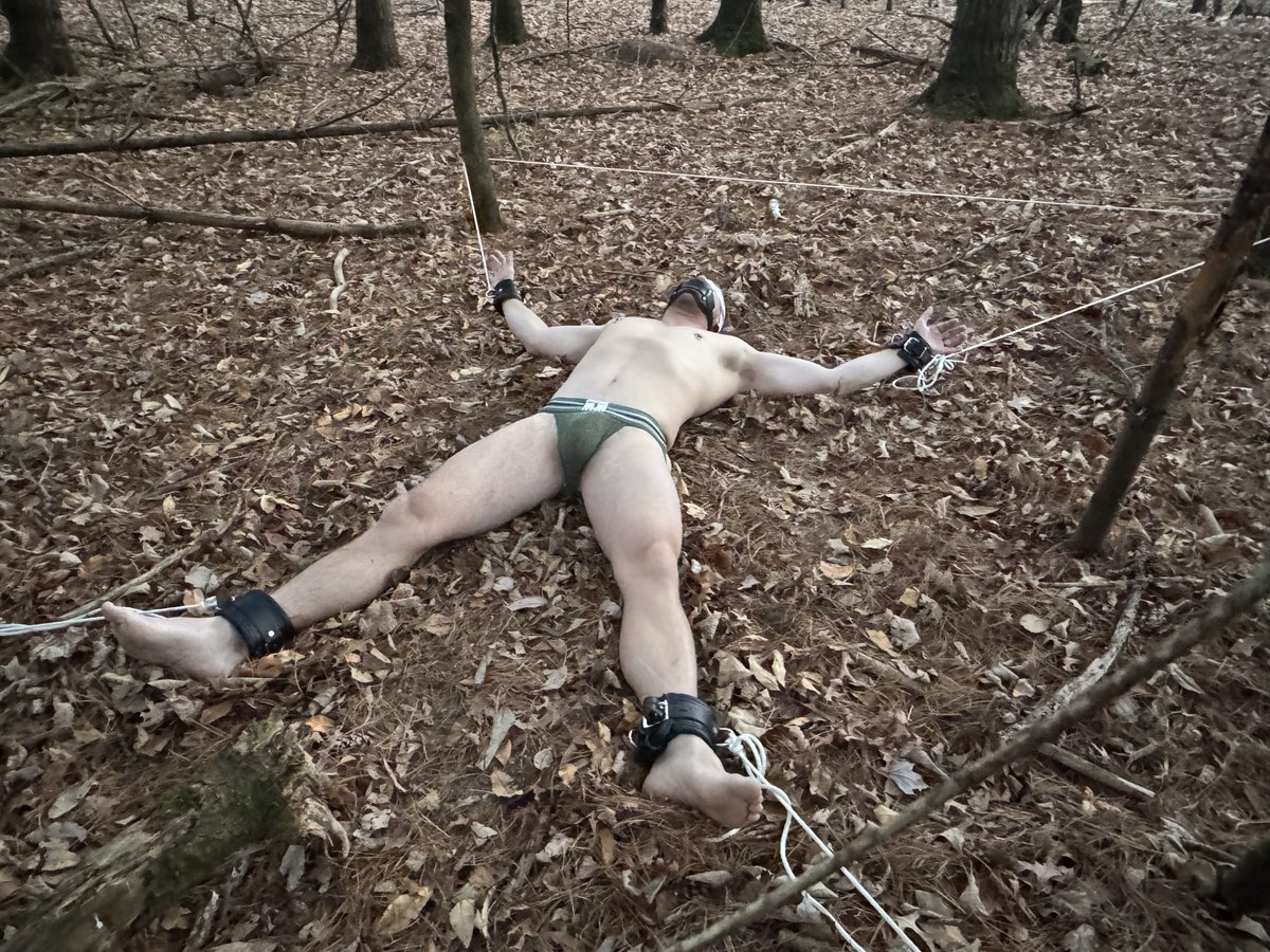 Taylor Bound tweet media