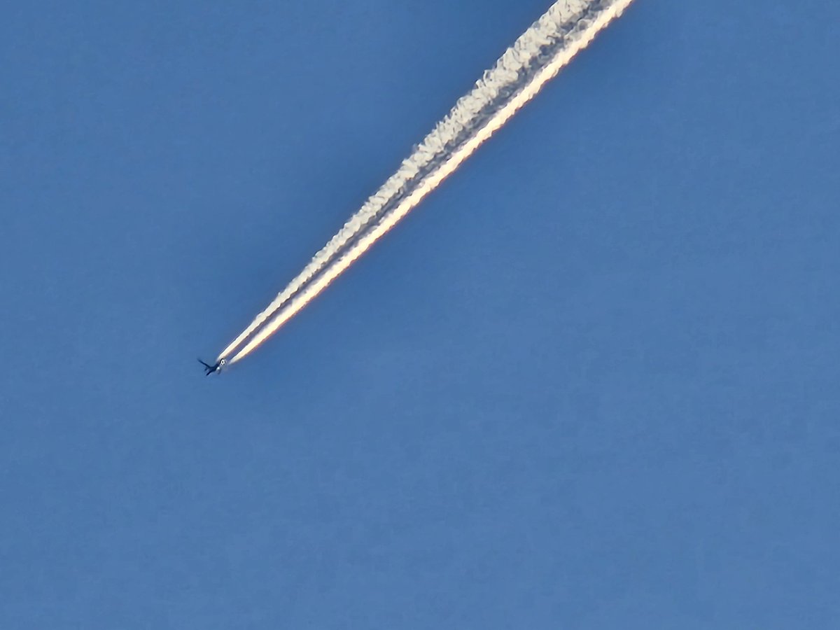 Charton Salvador tweet media