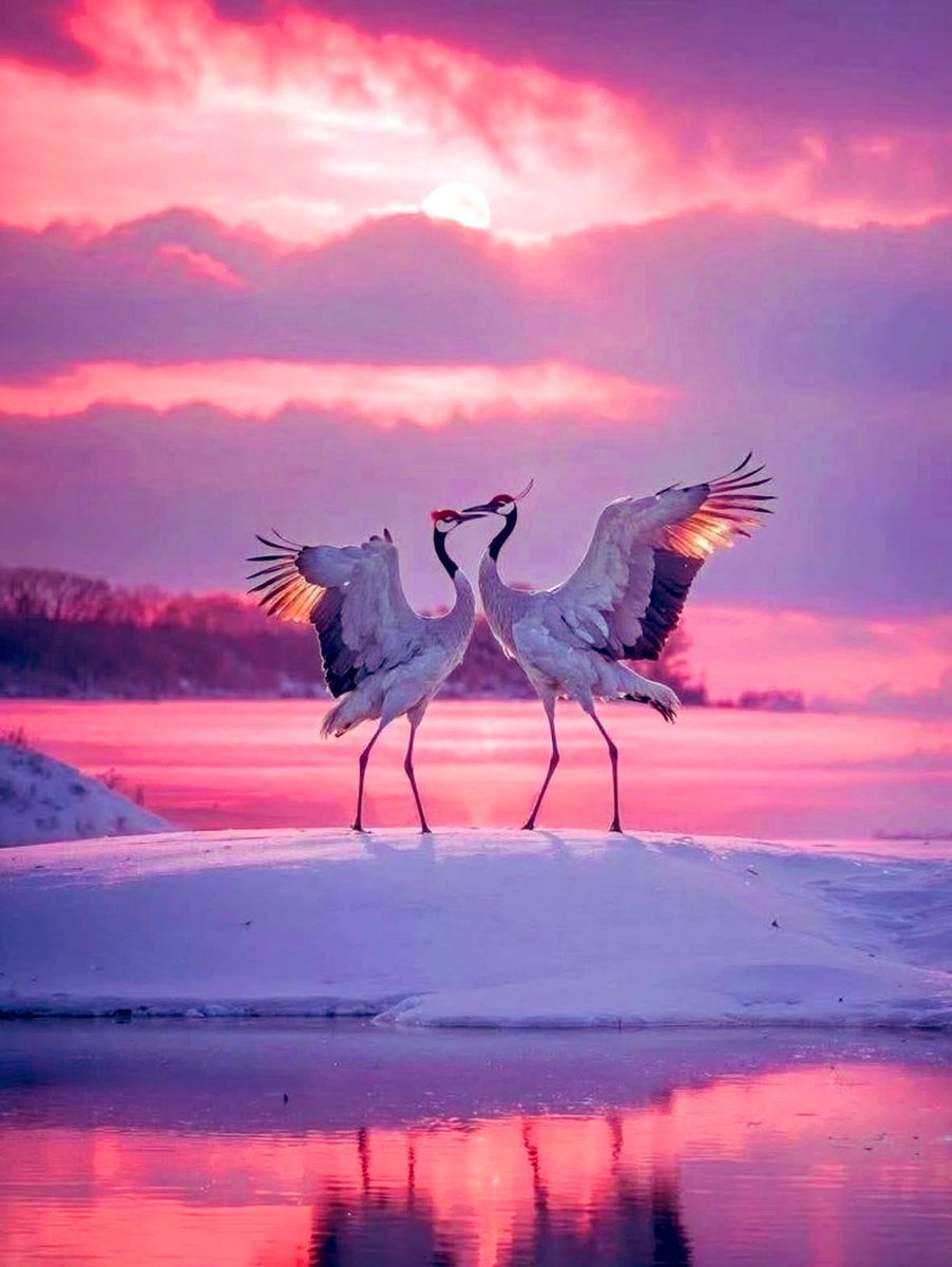 What you learn is never wasted and will be useful in some way to your life.
📸©️natureelover6,#IG,⚛️📚🌕💫