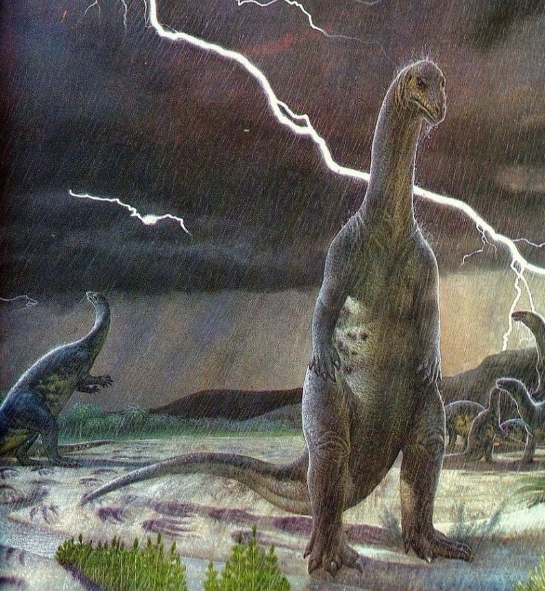 Yo solo quiero uno que cuando discutamos me venga a buscar e intente arreglar las cosas en vez de ser indiferente sera que pido una banda