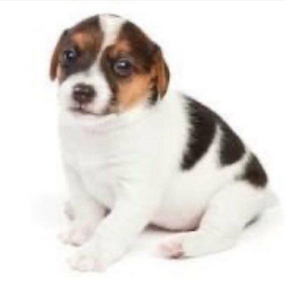 Tô dependente emocional do curso gratuito do matemagicando mds a Thaís é TÃO AMORZINHO, ela fala com uma calma e um cuidado tão grande, quando eu estiver na lista de aprovados eu com certeza vou falar dela e elogiar até no espaço