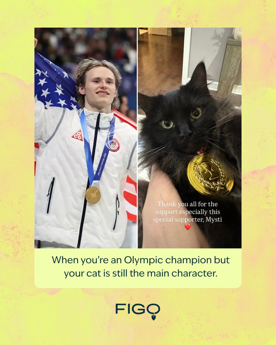 Figo Pet Insurance tweet media