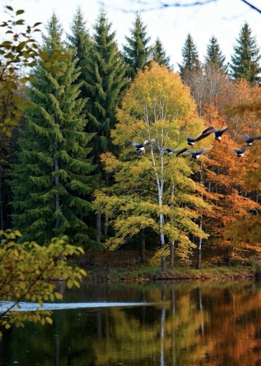 BelleLaudere's tweet image. Some folks are truly amazing, they don’t say a word, but support you silently🍁🍂🦅
   #TuesdayFeeling