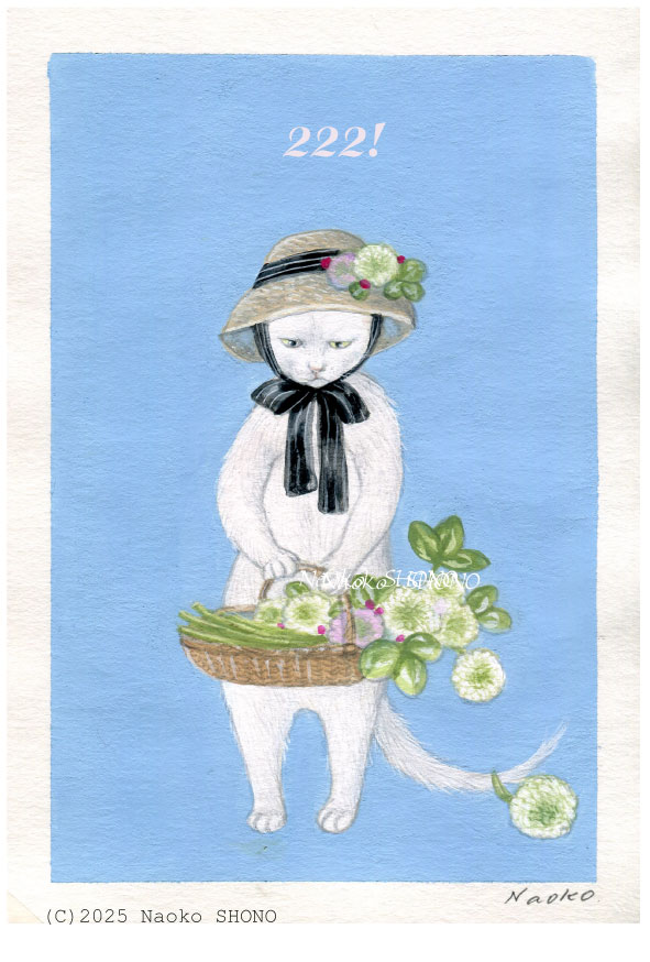 猫の日ひとりカウントダウンやります！ 
222！4・・・　#猫の日