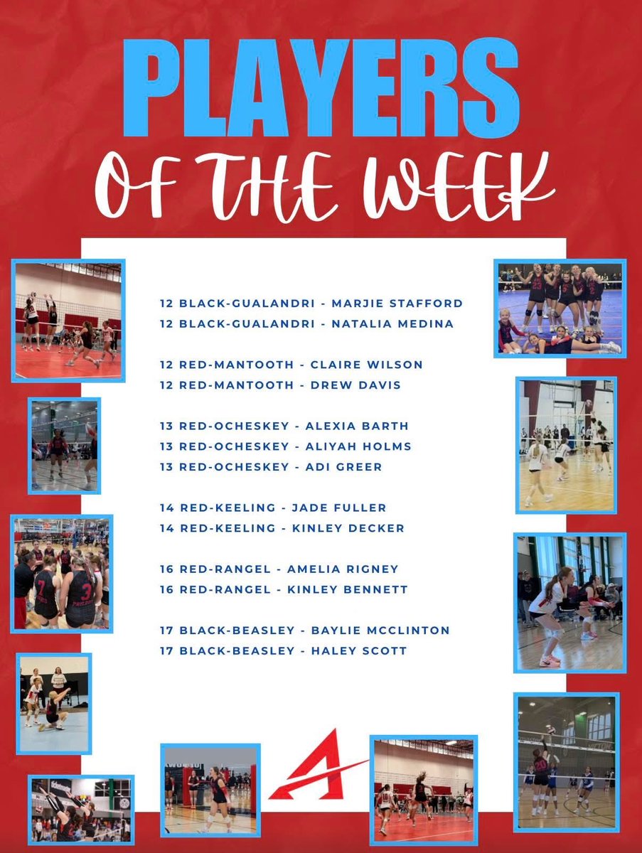 Haley Scott Volleyball tweet media