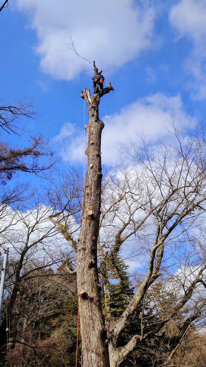 takesan59764702's tweet photo. 高尾山登山道にて

高所作業お疲れ様です!!
お陰さまで安全登山楽しんでおります😆 https://t.co/Pgxg6MWm3U