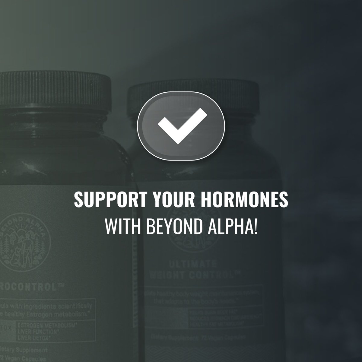 Beyond Alpha tweet media