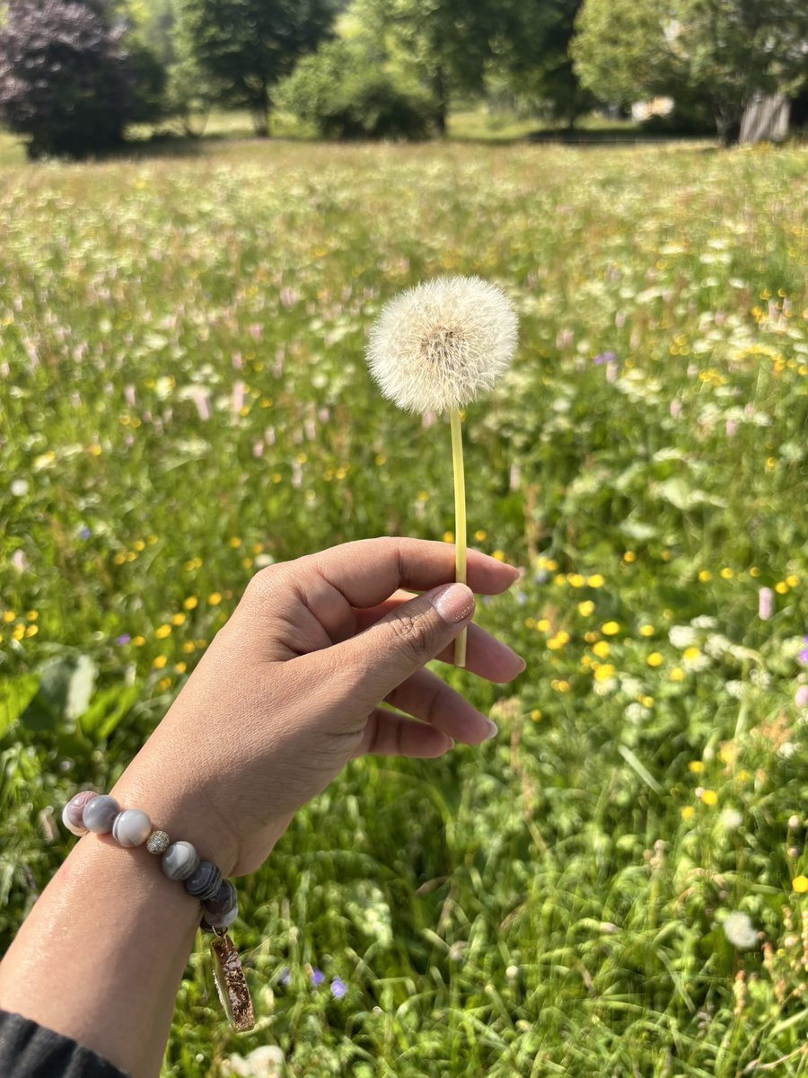 Mirpur0721's tweet image. We don't see things as they are, we see them as we are. #Morningstarter