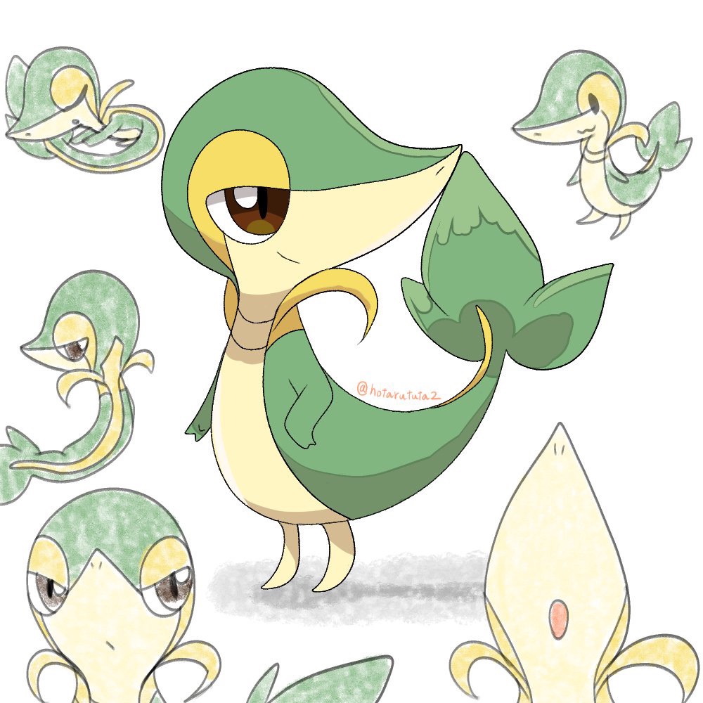 ほたる🧢🐍 tweet media