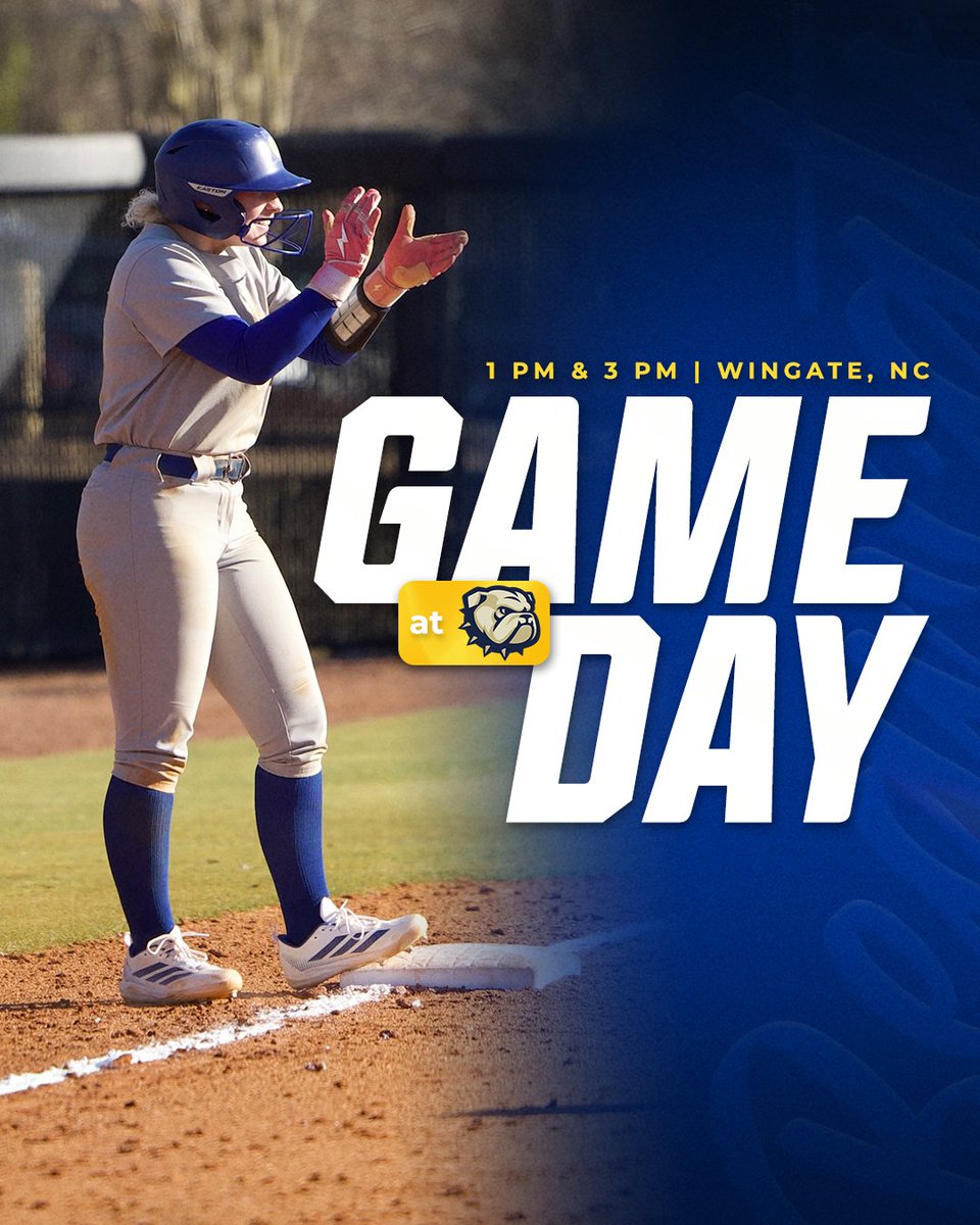 Lander Softball tweet media