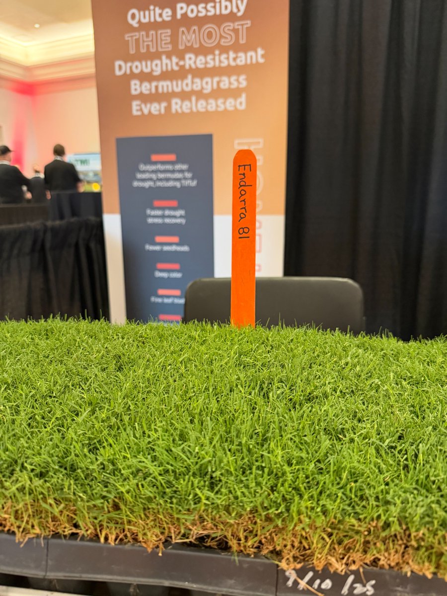 RIGHT NOW at the TPI conference, meet Endarra 81. 
Quite Possibly the Most Drought-Resistant Bermudagrass Ever Released. For home lawns in Plant Zone 7a and warmer. Be among the first to see it! <a href="/TPITurfTalk/">Turfgrass Prod. Intl</a> #endarra81 #OkState #droughtresistance endarra81.com