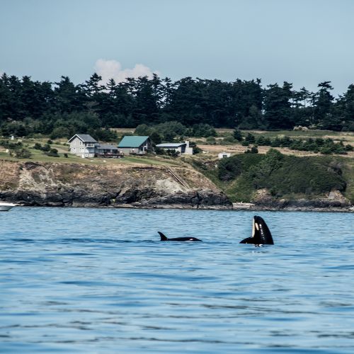 Center for Interactive Learning & Collaboration tweet media