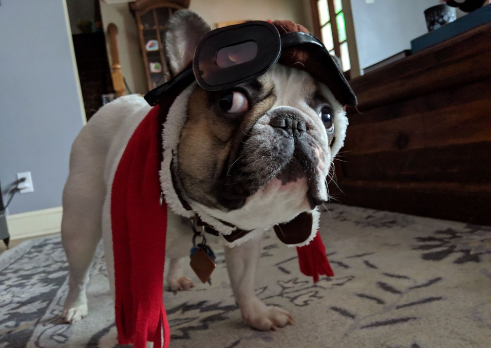 Fontina Turner tweet media