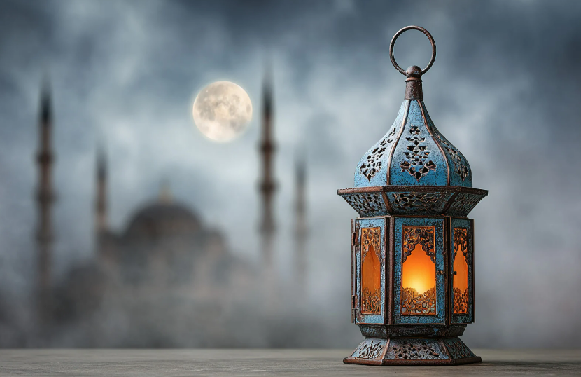 Skip Schiphorst思纪 tweet media