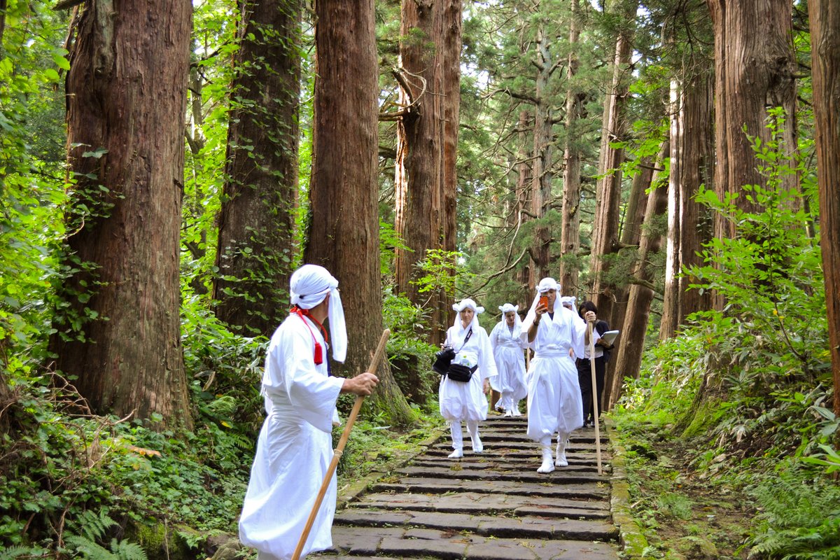 Visit Japan tweet media