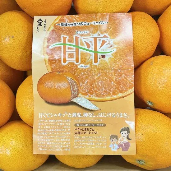 📣プチサク食感「甘平」が大特価です🔥 最終入荷が決まり、ラスト数量