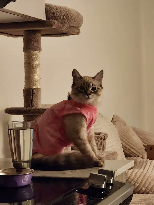 AreYouSrslySrs's tweet image. 