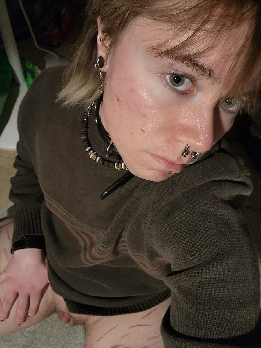 CocktusCorgi's tweet photo. Can I be your good boy? I promise I'll beg https://t.co/cfg6QslVPC