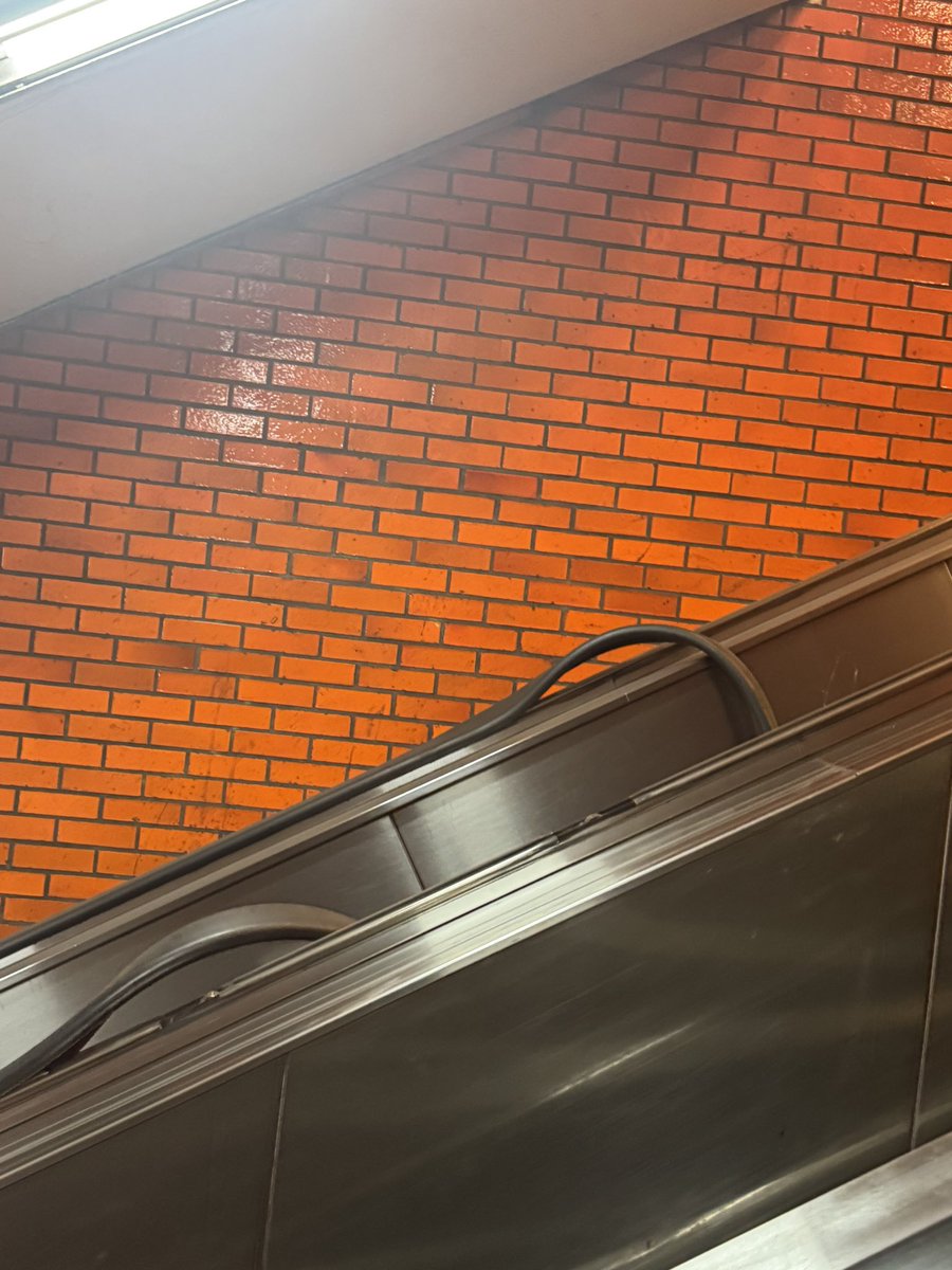 Alex Fish tweet media