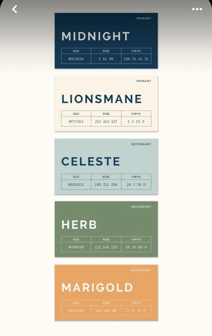 bold midnight and marigold palette for modern brands