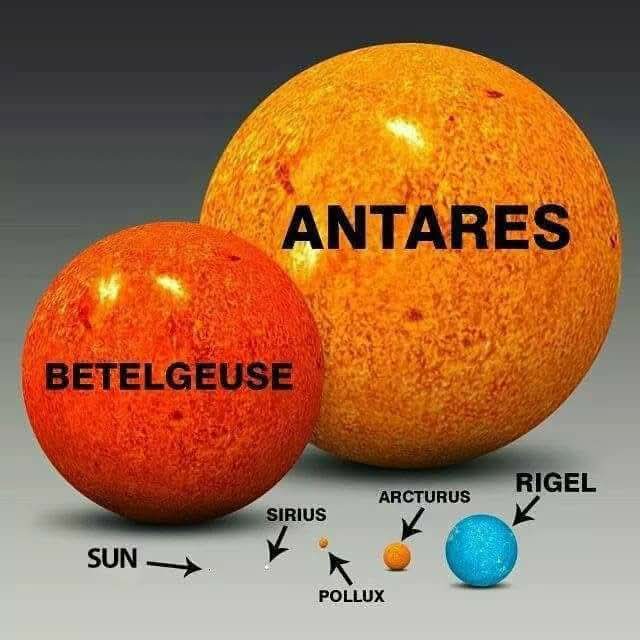 Night Sky Now tweet media