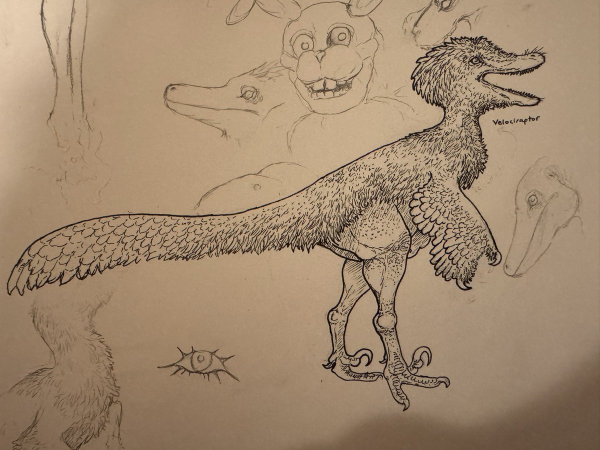 Got too immersed in a sketch