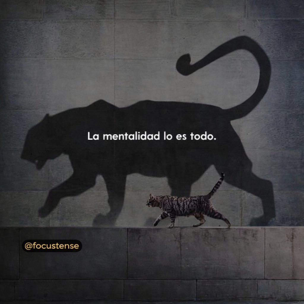 FOCUS TEN$E.💡 tweet media