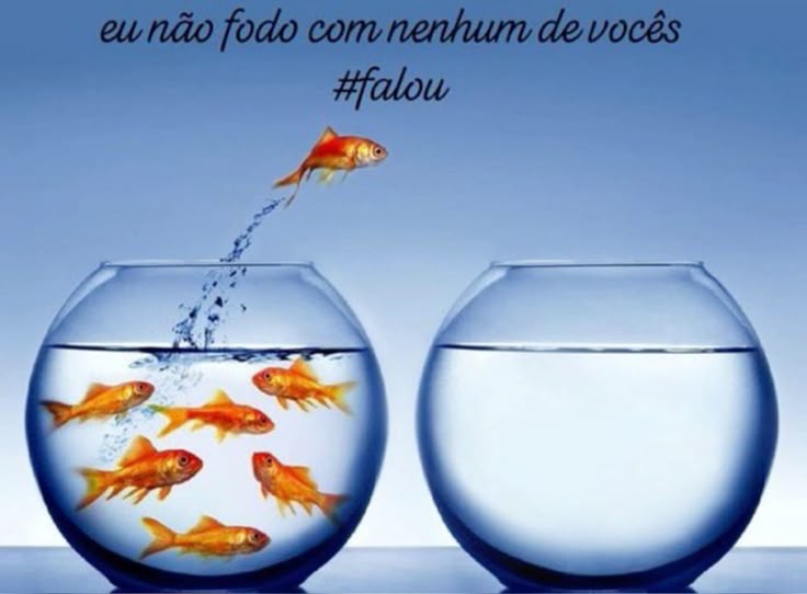 httpslukrl's tweet image. IA é coisa de bundão