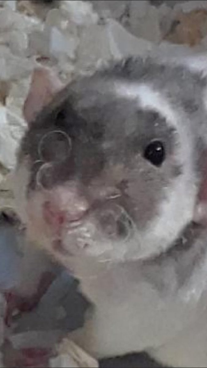 I love him