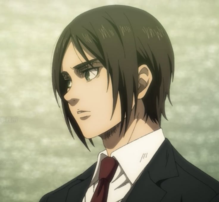 erenesexua's tweet photo. we should appreciate mid hair eren more, one of his CUTEST and most angelic looks https://t.co/wvAMBcLMyZ